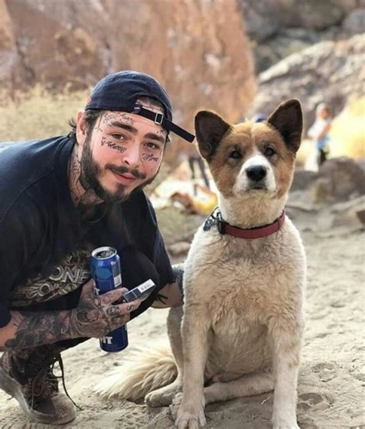 Post Malone Pets - Celebrity Pets