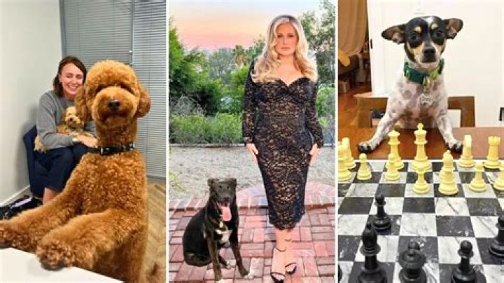 Primetime Emmy Awards 2024 Winners: Meet Their Celebrity Pets!