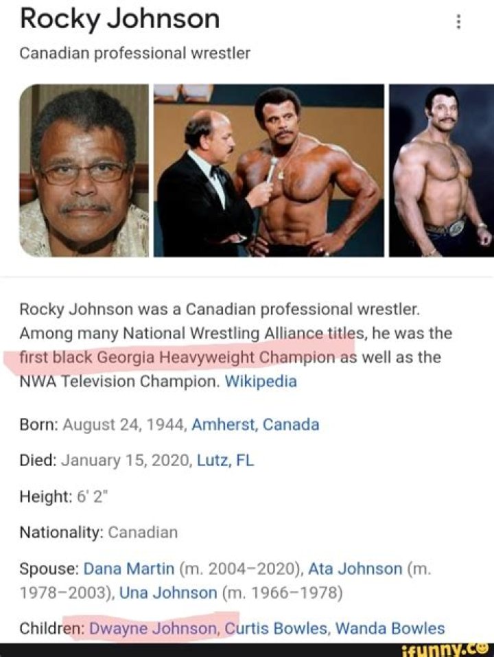 Rocky Johnson Net Worth At Death