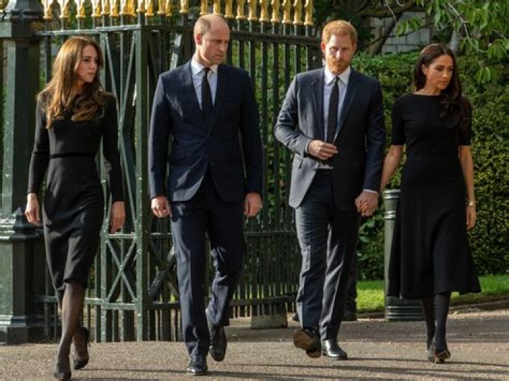 Royalist: Prince William ‘absolutely f–king hates’ Meghan & Harry now