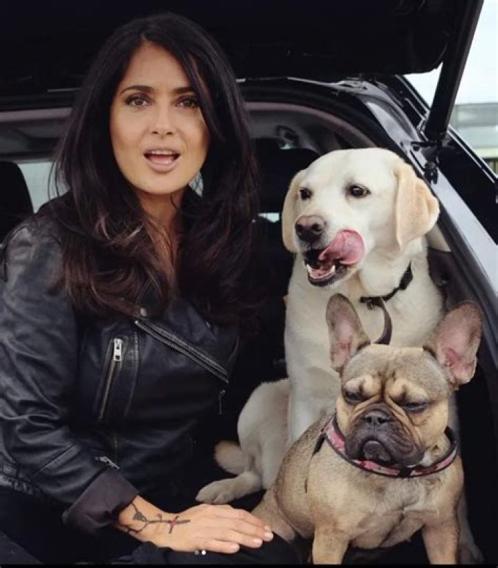 Salma Hayek Pets - Celebrity Pets