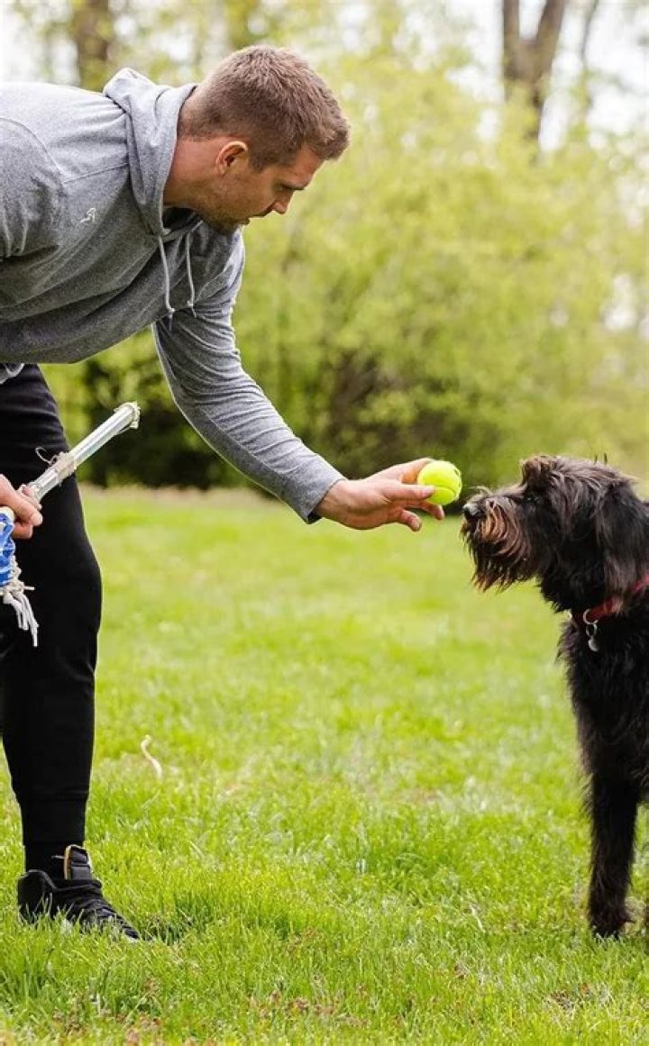 Sam Hubbard Pets - Celebrity Pets
