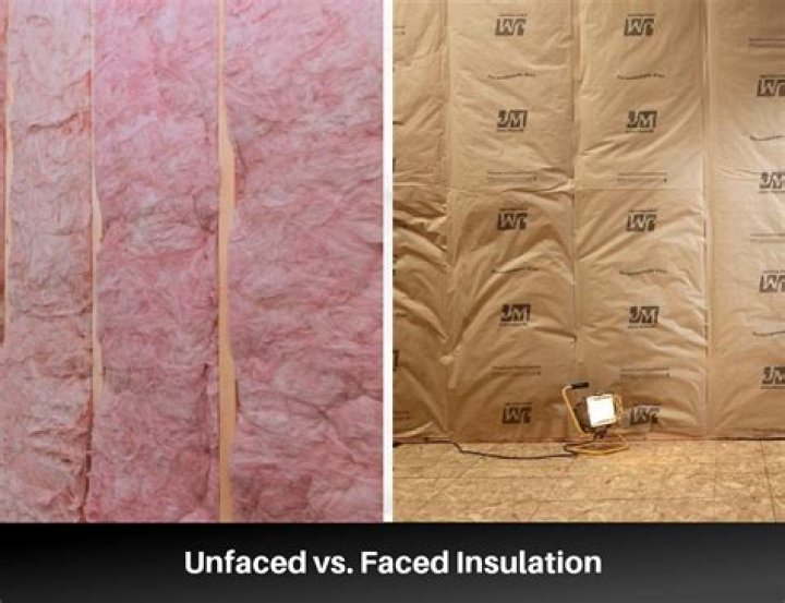 Should I use faced or unfaced insulation in crawl space?
