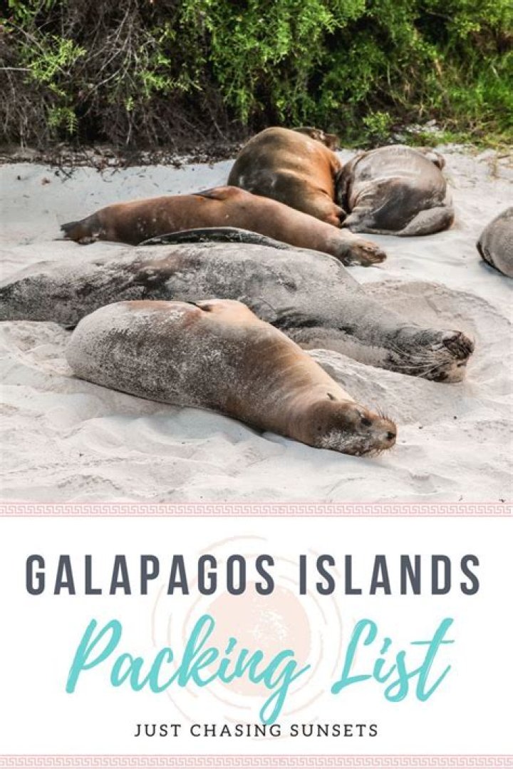 The Ultimate Galapagos Packing List