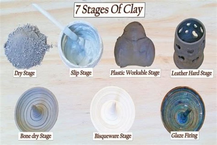 What are the stages of clay?