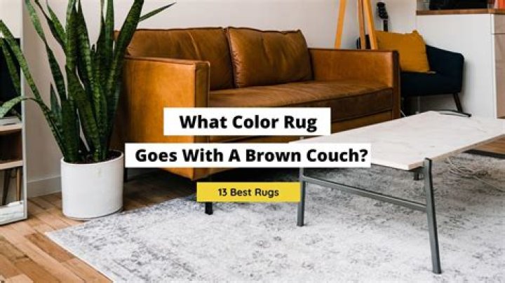 What color rug goes best with brown couch?