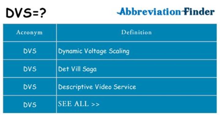 What does DVS 1001 mean?