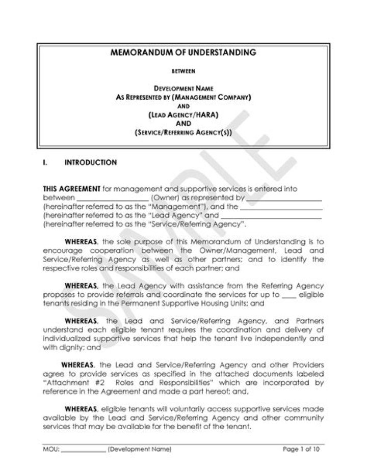 What is a memorandum of judgment in Illinois?