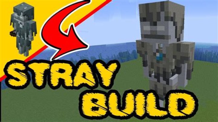 What is Stray in Minecraft?