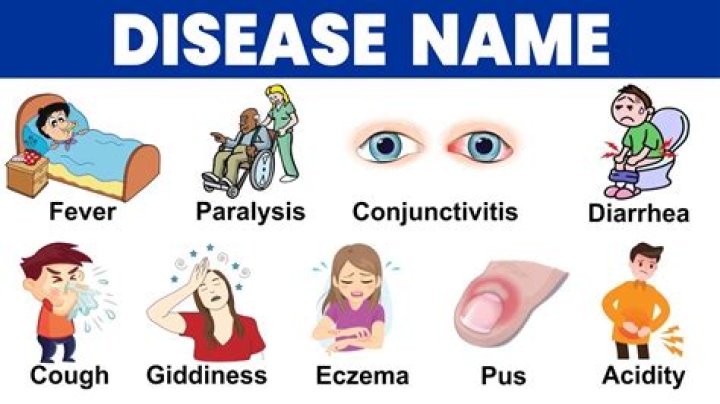 What is the disease called flux?