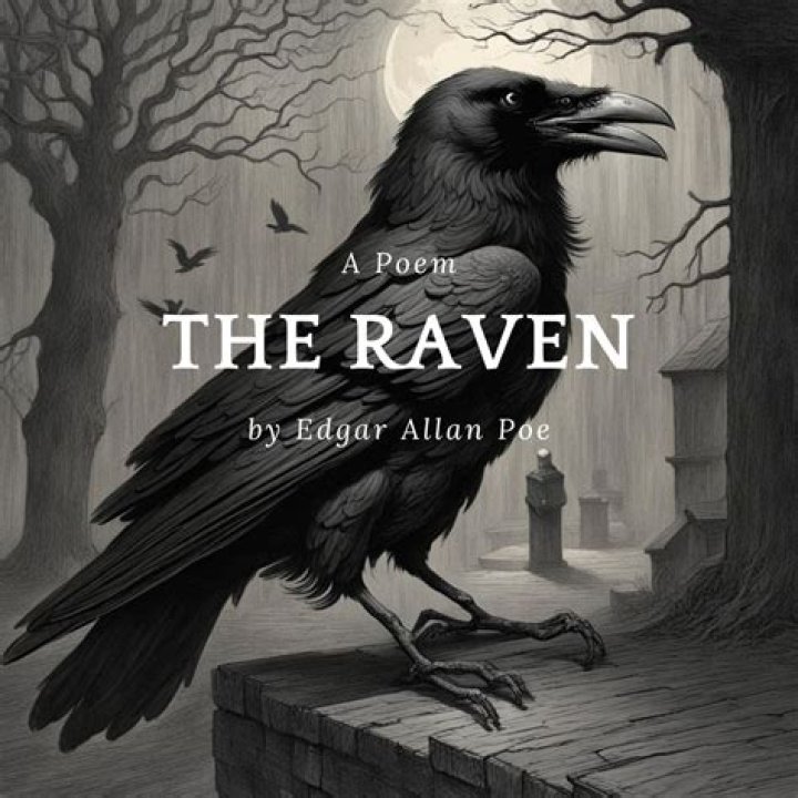 What is the name of the Raven in Maleficent?