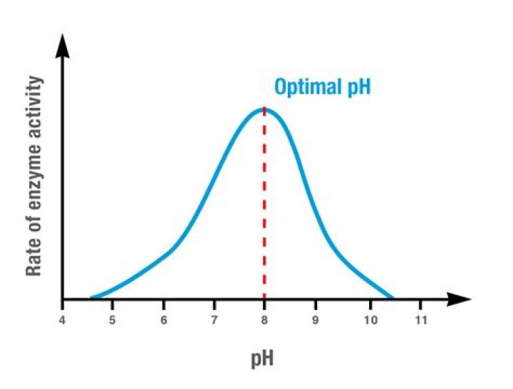 What is the optimal pH for turnip peroxidase?