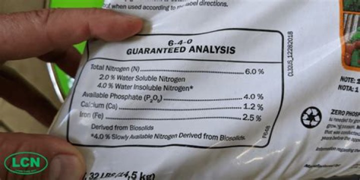 What makes grass green iron or nitrogen?