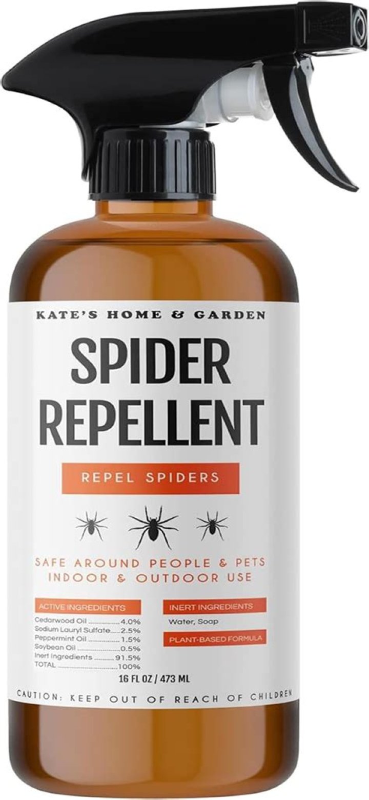 What scents keep spiders away?