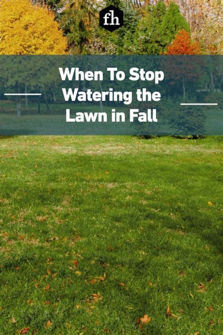 When should I stop watering my grass in the fall?