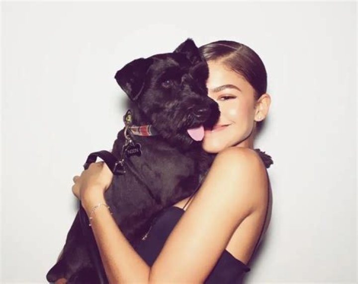 Zendaya Pets - Celebrity Pets